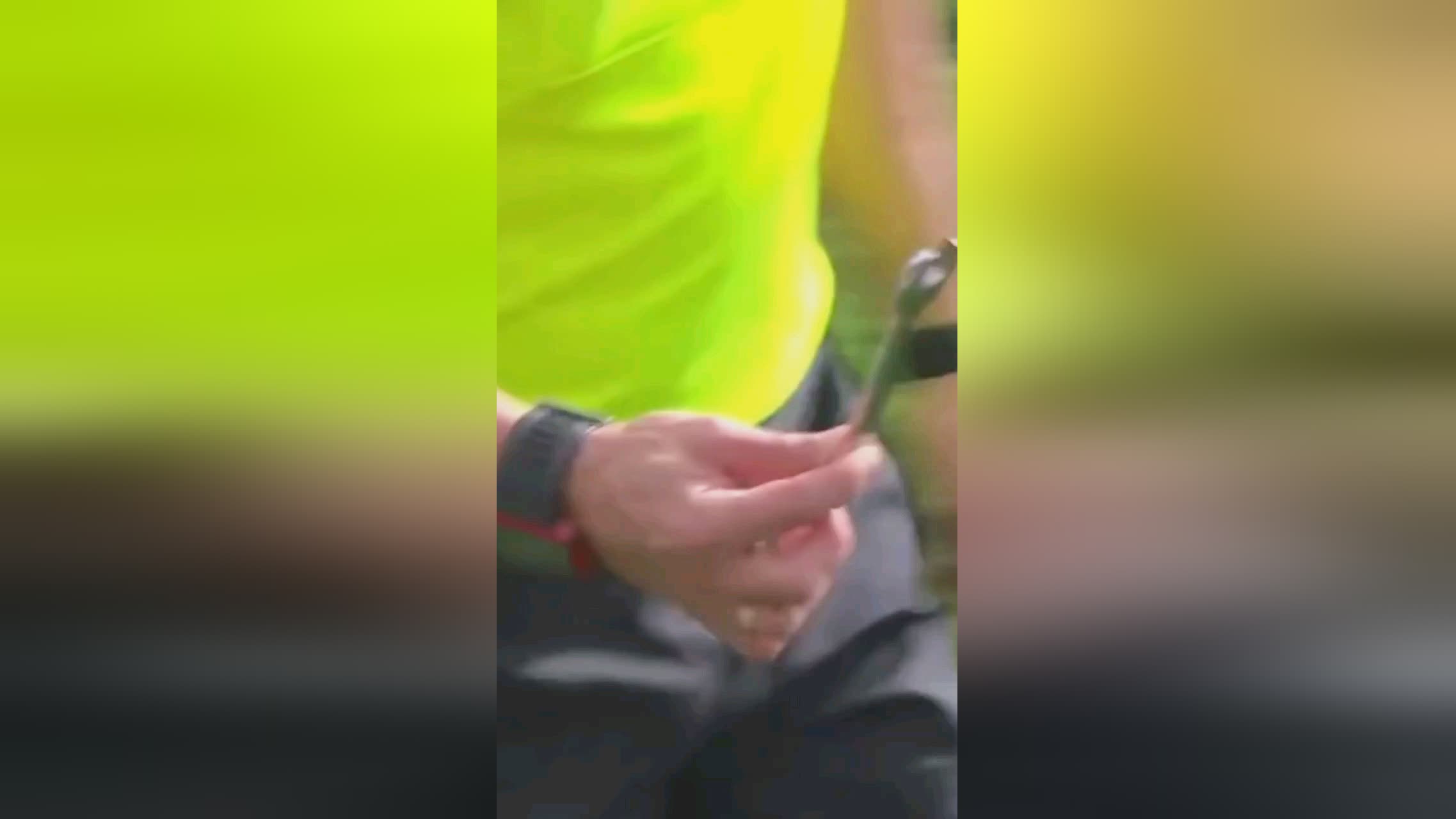 性赛事